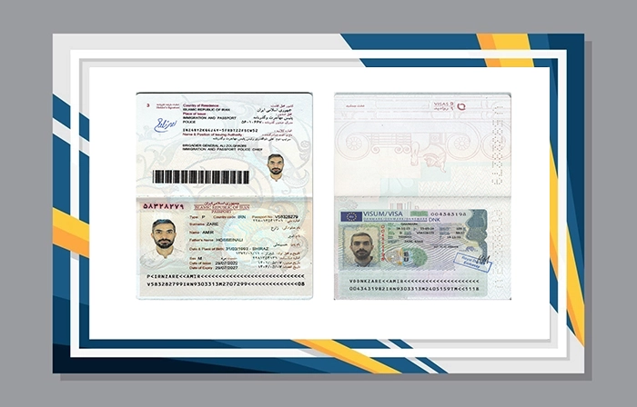 visa8